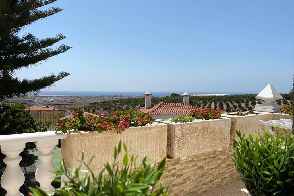 2 With Private Pool At Diaz Aleman